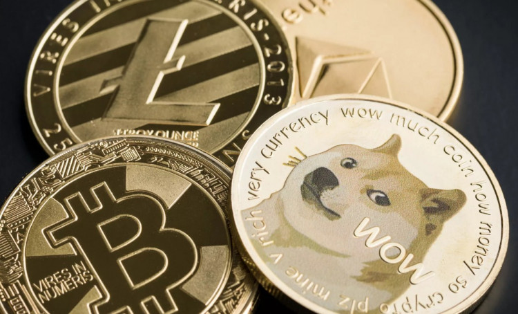 2000 dogecoin в рублях bitcoin cash price chat